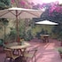 hotel san francisco de la selva