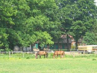 sudheide