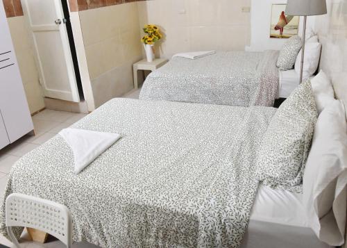 hotel mango