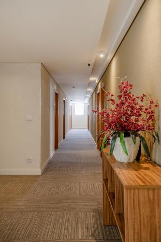 hotel cisne