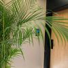 hotel joni premium