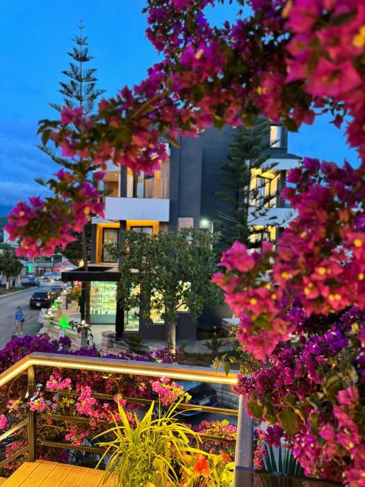 hotel joni premium