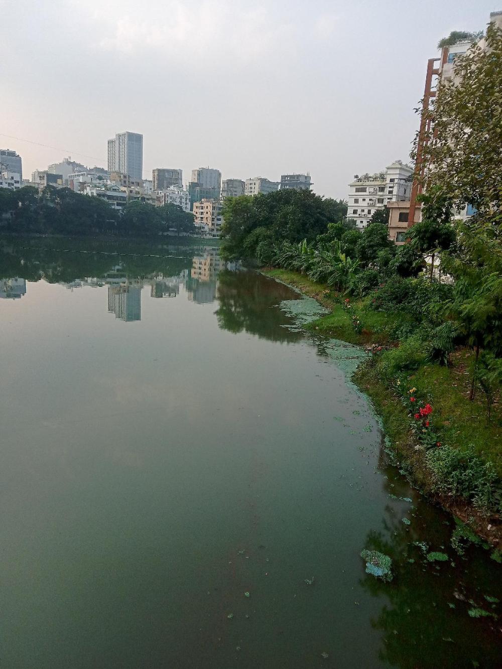 hotel lake view plaza