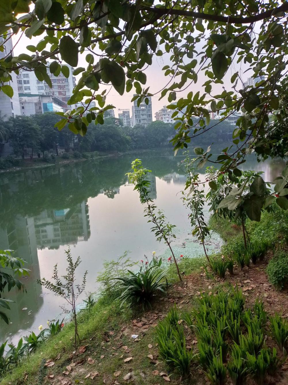 hotel lake view plaza