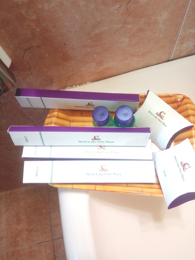 hotel lake view plaza