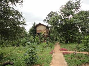 inn on the tree eco resort sigiriya