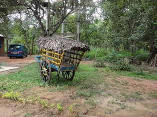 inn on the tree eco resort sigiriya