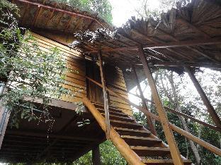 inn on the tree eco resort sigiriya