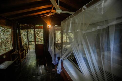 inn on the tree eco resort sigiriya