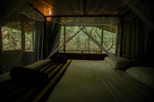 inn on the tree eco resort sigiriya