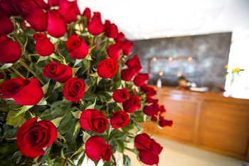 Hotel Ambato,Tungurahua>>Ambato,3.5 star