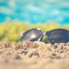 holiday inn and suites boca raton north by ihg