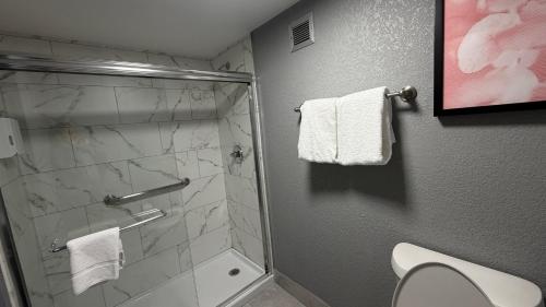 hawthorn by wyndham dallas love field airport