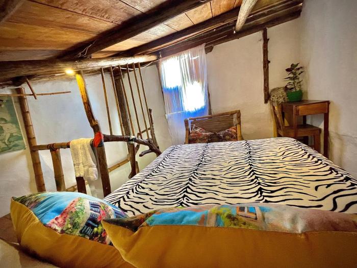 hotel casa tarzan