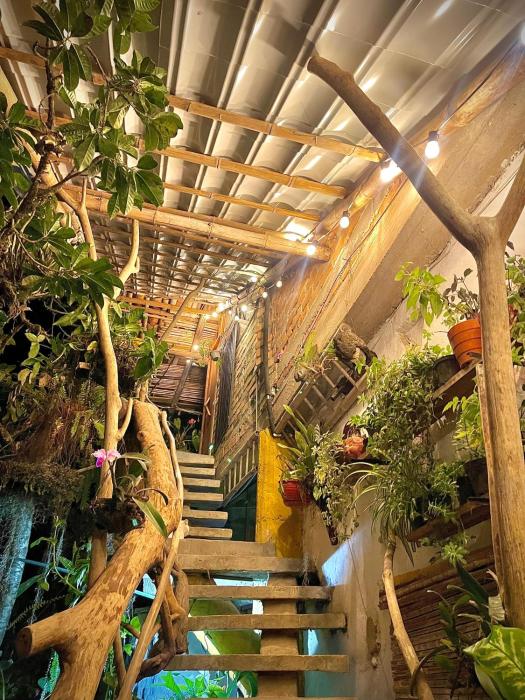 hotel casa tarzan