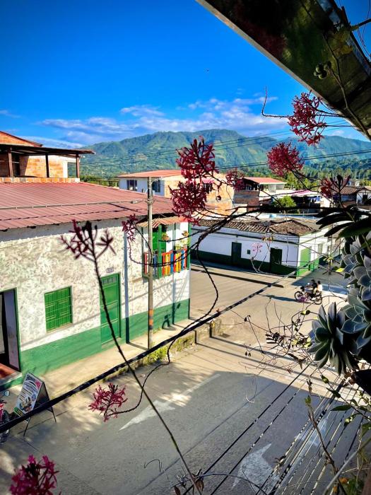 hotel casa tarzan