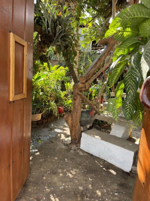 hotel casa tarzan