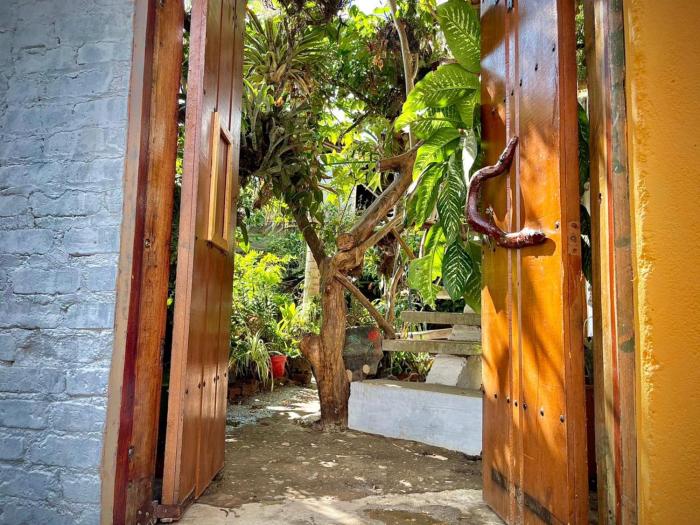 hotel casa tarzan