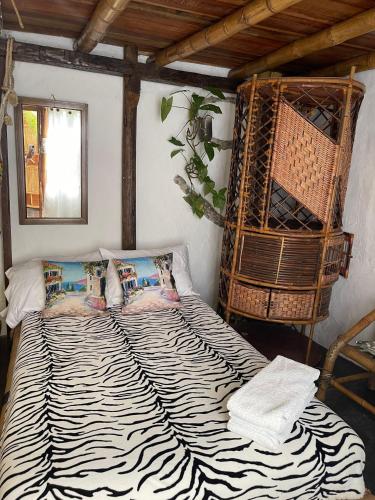 hotel casa tarzan
