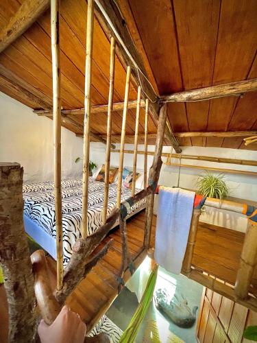 hotel casa tarzan