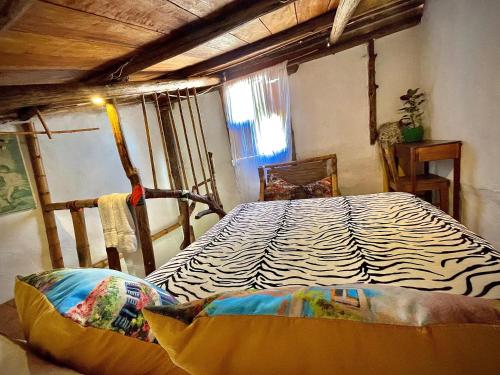 hotel casa tarzan