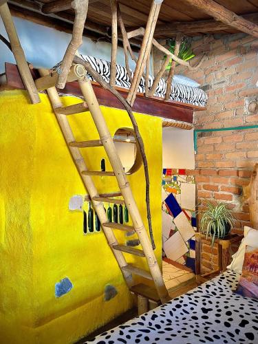 hotel casa tarzan