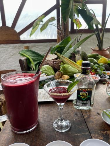 hotel casa tarzan