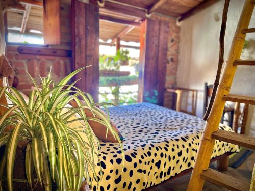 hotel casa tarzan