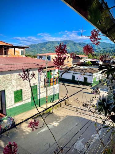 hotel casa tarzan