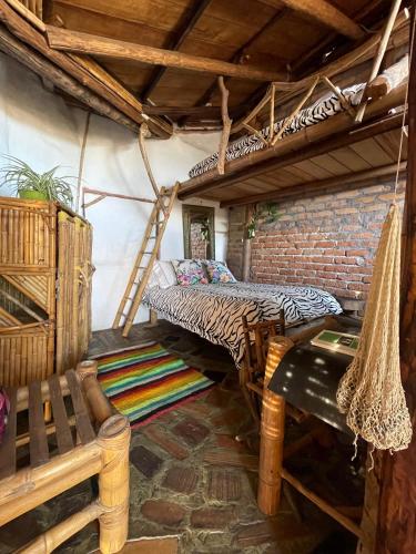 hotel casa tarzan