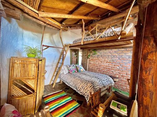 hotel casa tarzan