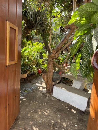 hotel casa tarzan