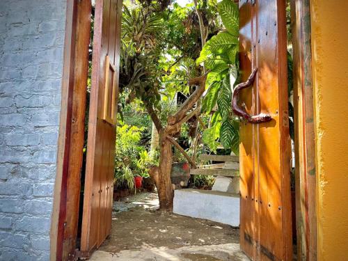 hotel casa tarzan