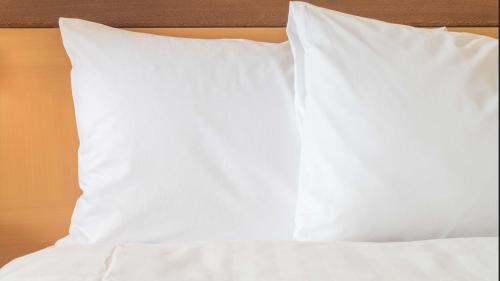 holiday inn nanjing qinhuai south suites by ihg