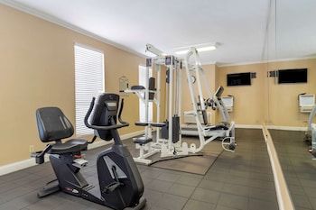 best western brady inn