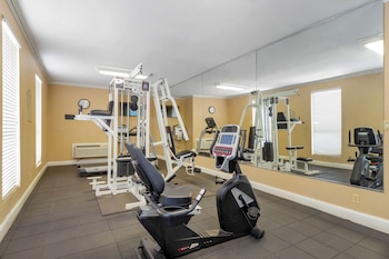 best western brady inn