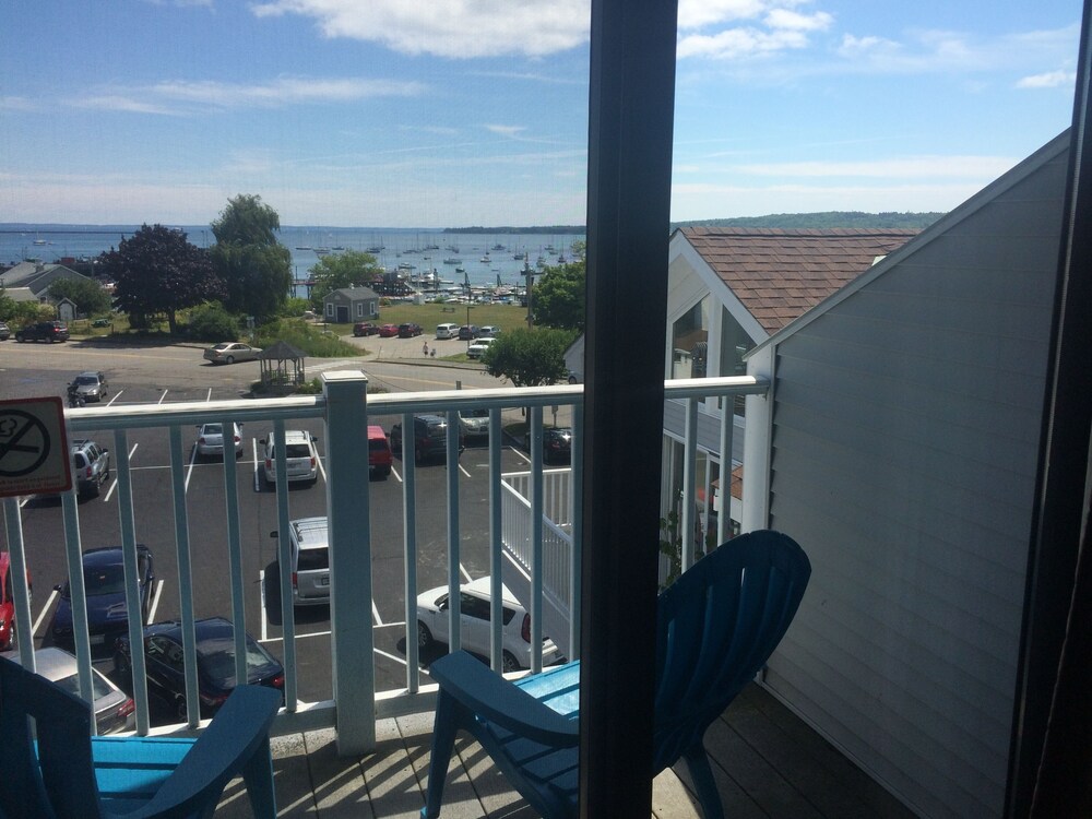trade winds on the bay