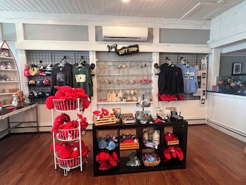 trade winds on the bay