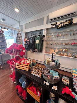 trade winds on the bay