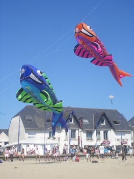 les chants dailes hotel face mer