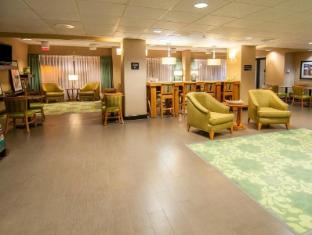 spark by hilton lafayette