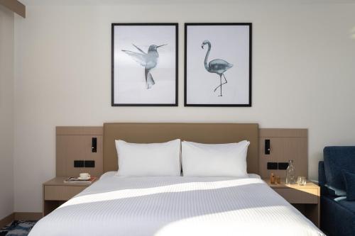 voco darwin suites by ihg