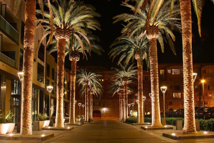 voco ardez hotel sunnyvale by ihg