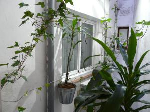 hotel alexandra sitges