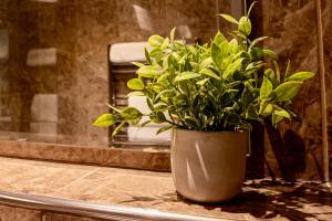 The Enniskillen Hotel And Motel,Enniskillen>>County Fermanagh,3 star