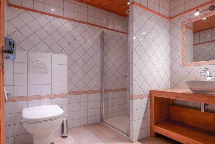 chalet hotel des 2 gares and spa