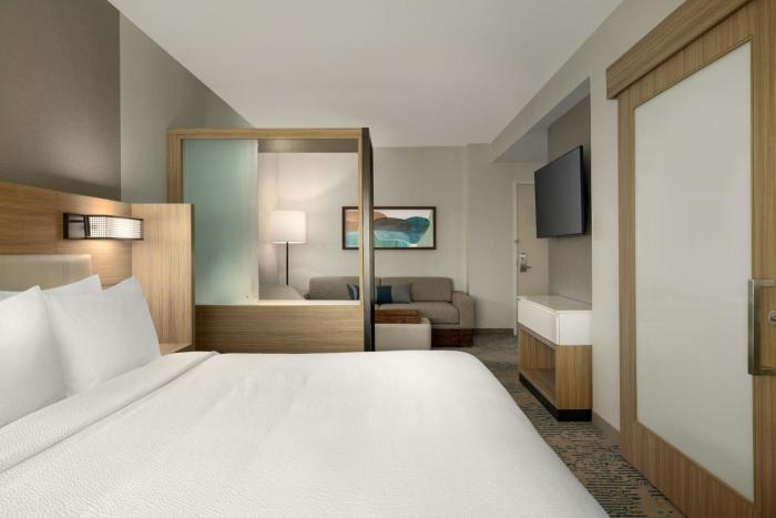 springhill suites by marriott braselton