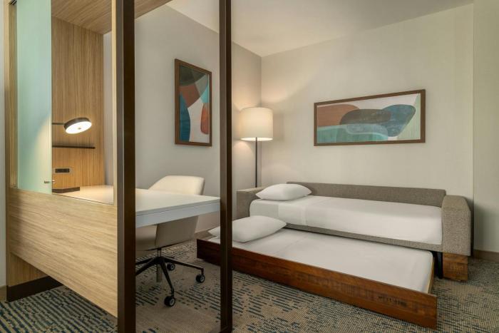 springhill suites by marriott braselton