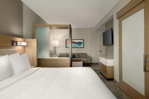 springhill suites by marriott braselton
