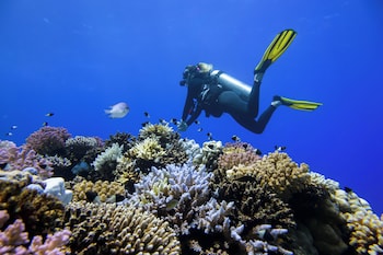 miraval the red sea